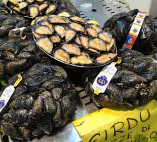 Rundgang durch den Mercato Civico di San Benedetto