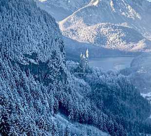 Schloss Neuschwanstein 