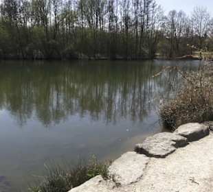 Sport- und Freizeitpark Markwasen