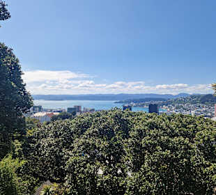 Botanischer Garten Wellington