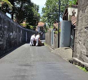 Impressionen von der Abfahrt der Korbschlitten