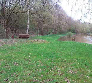  Historische Waschtreppe Nanzdietschweiler