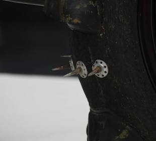 Skurriles auf Rädern - Husky