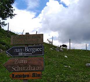 Wandern Göstling an der Ybbs