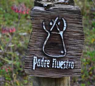 Tour & Ausflug Bayahibe