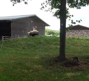 Gedenkstätte Grafeneck