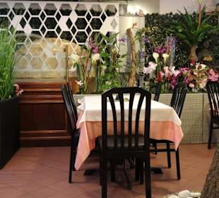 Sitzplätze im Innenhof des Restaurant Drago D´Oro