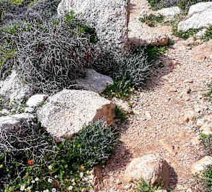 Nationalpark Kap Greco