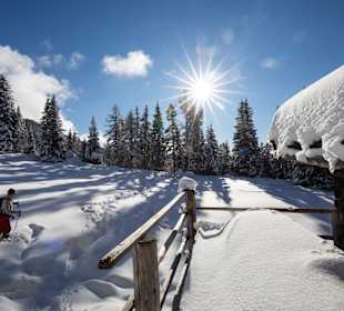 Wandern Nova Ponente / Deutschnofen