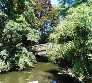 Flüßchen Schwalm an der alten Brüggener Mühle