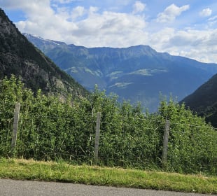 Wandern