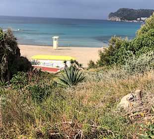 Strand Paguera/Peguera