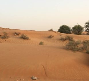 Fahrt durch die Wüste