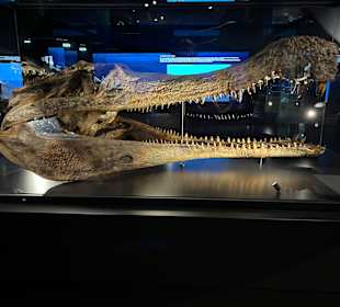 Aquarium Wilhelmshaven