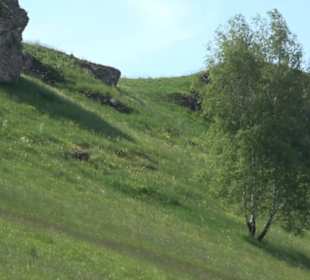 Klimaweg Sonnenalb