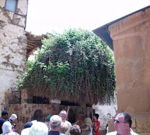 Brennender Dornbusch