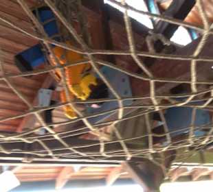 Hafenrundfahrt - Lego City