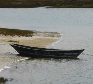 Boot im Park Natural Ria Formosa