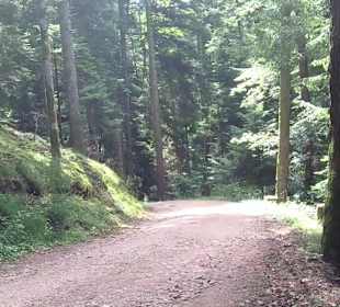 Wandern Schenkenzell