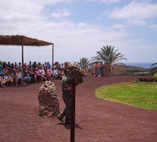 Oasispark - Flugschau