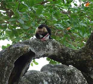 Der wurde später von Gaby auf Diät gesetzt