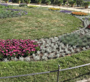 Altstadt - Rund um das Terrassenufer