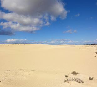Impressionen aus der Dünenlandschaft