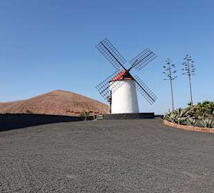 Jardin de Cactus / Kaktusgarten Guatiza