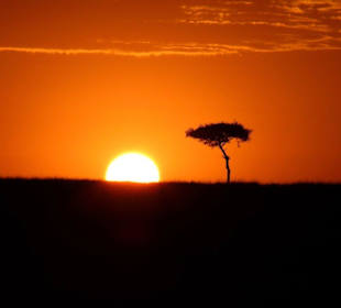 Sonnenaufgang Masei Mara