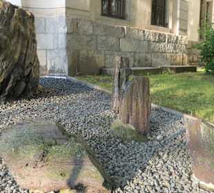 Versteinerte Baumstämme, Kunsthistorisches Museum