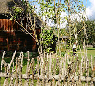 Naturzaun aus Stöcken