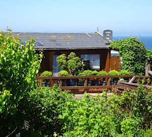 Rundgang durch die Schrebergarten-Kolonie