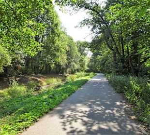 Sommer-Impressionen aus dem Park Links der Weser