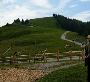 Wandern