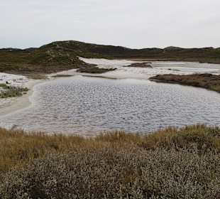 Strand Hörnum