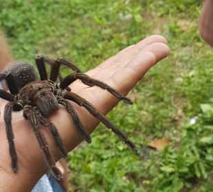 Tour & Ausflug Bayahibe
