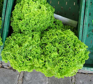 Impressionen vom Rundgang über den Wochenmarkt