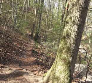 Wanderweg Hochgehkämpft