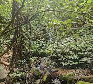 Low-Level Loop Waiorongomai Valley