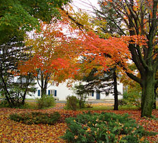 Autumn Scene-Île d'Orleans