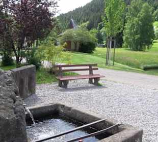 Wanderung Klosterquelle Klosterreichenbach