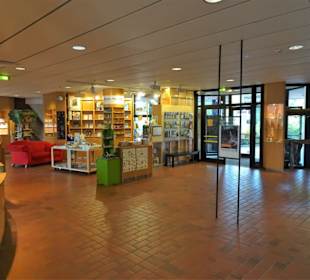 Der Kassen- und Museumsshop-Bereich