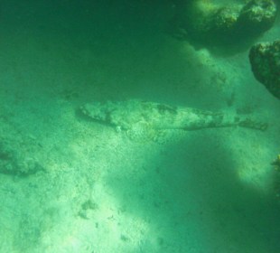 Krokodilfisch am Hausriff Three Corners Fayrouz Plaza Beach 