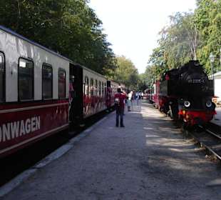 Der Molli im Bahnhof Heiligendamm