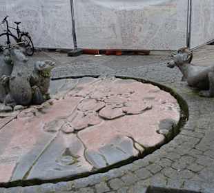 Stadtbesichtigung Würzburg