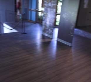 Fastnachtsmuseum Narrenschopf