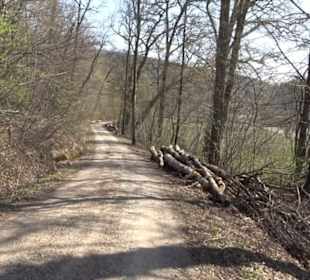 Geologischer Lehrpfad Kirnbachtal