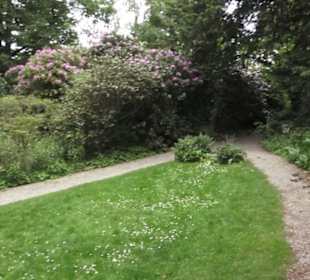 Alter botanischer Garten