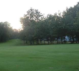 Dogleg Masters Course 