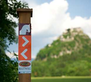 Reitwegemarkierung im Reit Eldorado Kärnten